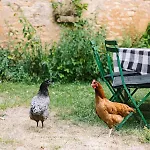 Refuge De Campagne Au Coeur Du Perigord * Saint-Genies